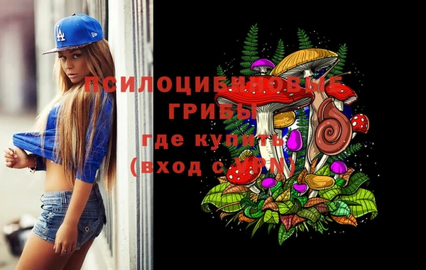 дживик Аша