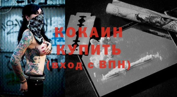 индика Ступино