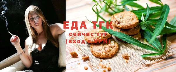 дживик Аша