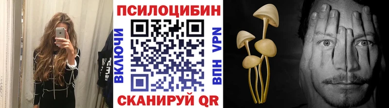 OMG вход  Гаврилов Посад  Галлюциногенные грибы MAGIC MUSHROOMS 